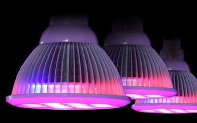 What You Need To Know About LED Lighting Recipes