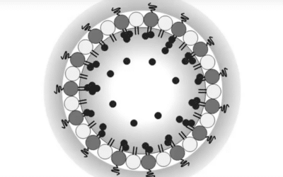 The Beauty of Ultrasonic Liquid Processing – Next-Generation Nanotechnology