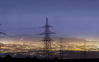 Seinergy Energy Rebates: 3 Easy Steps for Lighting Vendors and Growers