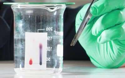 BUCHI: Pioneering Chemistry and Advanced Cannabis