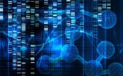 The Discovery of the Cannabis Genome