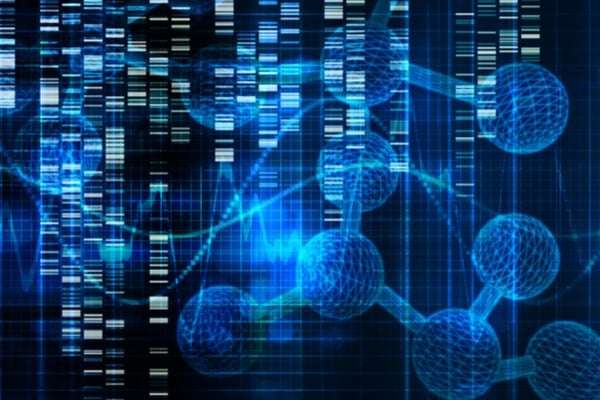 cannabis genome