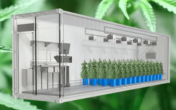 Advantages of a Pod-style Grow