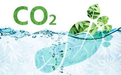 A Greener Green Part 2: Water Consumption and Exciting Innovation