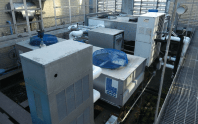 Effective Environmental Control of Cannabis Cultivation