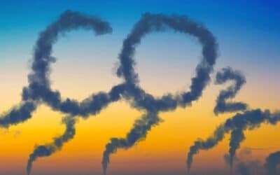 A Greener Green Part 3: Relieving CO2 Emissions in Cannabis Cultivation