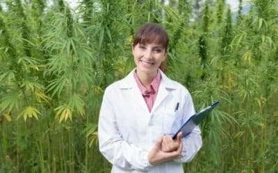A Look at Eight Hemp Technologies