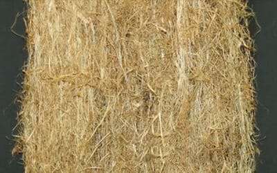 Emerging Hemp Technologies & Advanced Machinery
