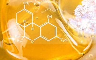 Comprehensive Exploration of Short Path Distillation of Cannabis