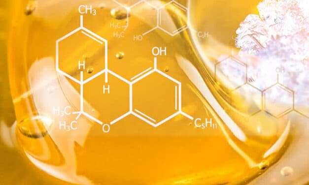 Comprehensive Exploration of Short Path Distillation of Cannabis