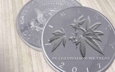Cultivation Cost Control: The Competitive Advantage