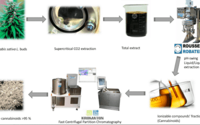 FCPC – 5 Takeaways in Cannabinoid Extract Purification with Fast Centrifugal Partition Chromatography
