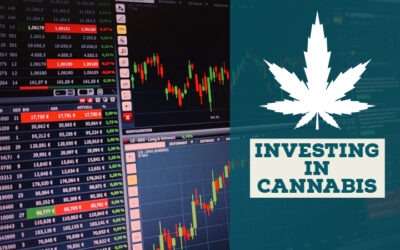 Marijuana Stocks: Comprehensive Dive into Investing in Cannabis