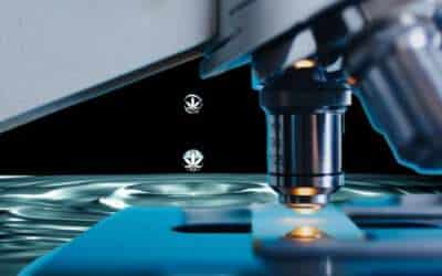 Nanotechnology: High-Tech Cannabis Consumables