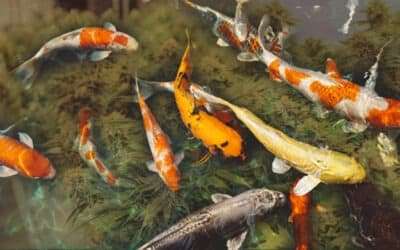 Breakthrough Closed Loop Aquaponics Provides More than Clean Cannabis