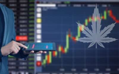 New Commodity Exchange Platform PanXchange Set to Revolutionize the Hemp Industry