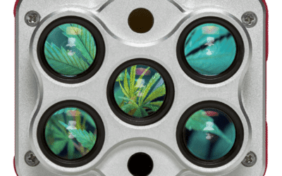 How To Boost Hemp Production Using Multispectral Imagery