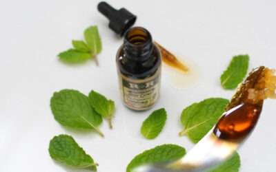 Surprise! Small Batch Cannabis Oil Extraction Machine for Your Home and Business