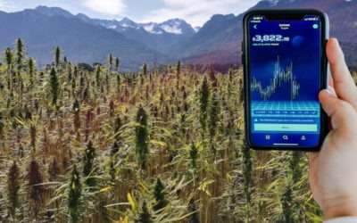 PanXchange New May 2019 Hemp Market Update