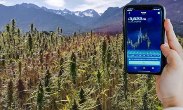 PanXchange New May 2019 Hemp Market Update