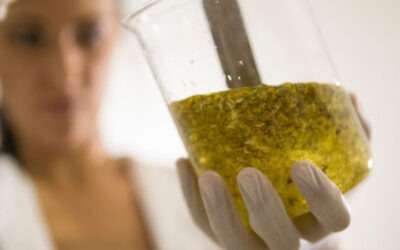EVIO Labs: Fighting for the Culture of Cannabis in Florida