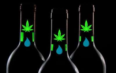 New Water-Soluble Cannabinoids Revolutionize the Adult Beverage Industry