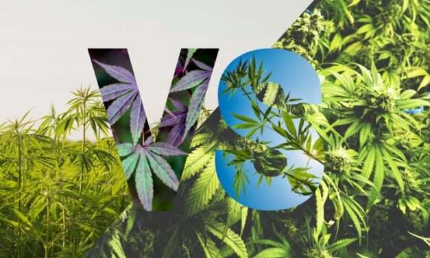 Cross-Pollination: Effective at Putting 2 Industries At Odds