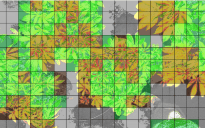 Spectral Imagery: Beyond What The Eye Sees