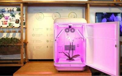 Seedo 2019: The Incredible Israeli AI-Powered Autonomous Cannabis Grow Box Goes Global