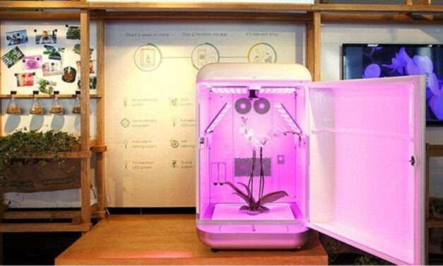 Seedo 2019: The Incredible Israeli AI-Powered Autonomous Cannabis Grow Box Goes Global