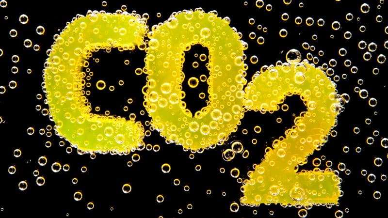 CO2 and Ethanol Extraction