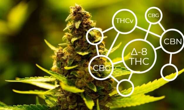 Introducing the Minor Cannabinoid Spectrum: Tiny Contributors with a Big Impact