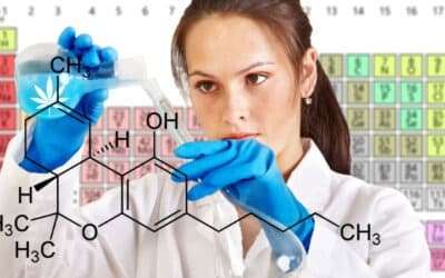 The Critical Importance of Chemistry Professionals in the Cannabis Industry