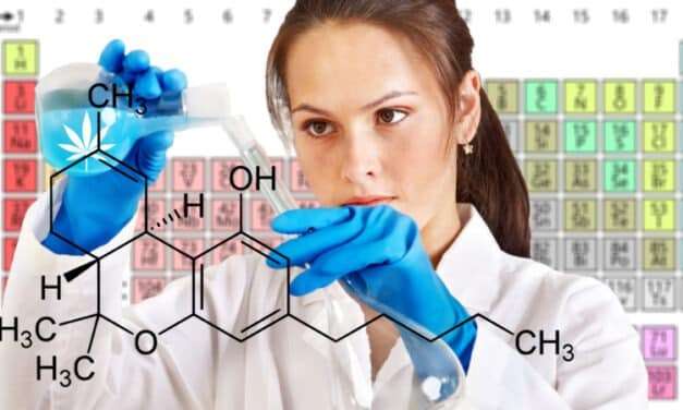 The Critical Importance of Chemistry Professionals in the Cannabis Industry