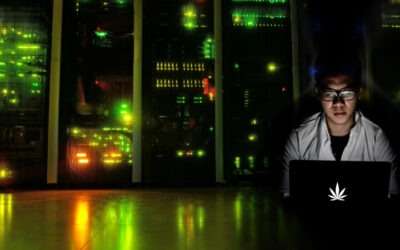 4 Dynamic Roles for IT Professionals in the Cannabis Industry