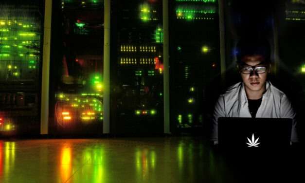 4 Dynamic Roles for IT Professionals in the Cannabis Industry