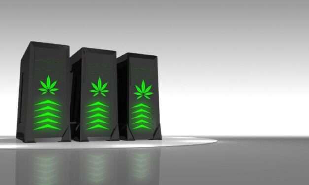 Confident Cannabis – What’s in a Strain?