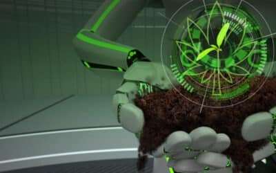 New Ways for Automating the Hemp Industry in the 21st-Century