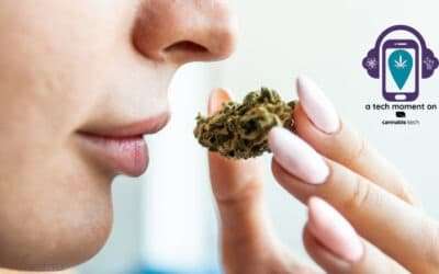 Controlling Cannabis Odor: Suppressing the Stench
