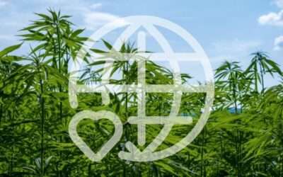 Hemp Packaging: Effective Plastics with a Higher Purpose