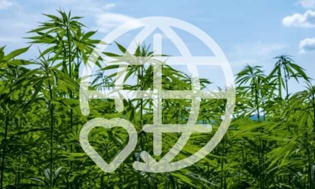 Hemp Packaging: Effective Plastics with a Higher Purpose
