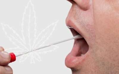 New THC Detection System Promises to Step Beyond Law Enforcement Use