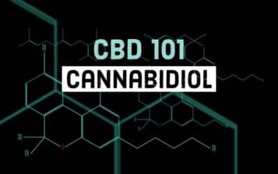 What is Cannabidiol (CBD)?