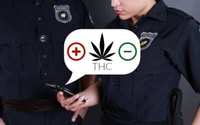 How DetectaChem can Help Differentiate Between Cannabis and Hemp