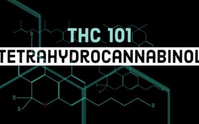 What is Tetrahydrocannabinol (THC)?