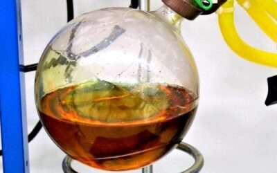 Precision Extraction Ultimate Guide: Hemp & Cannabis Extraction Equipment