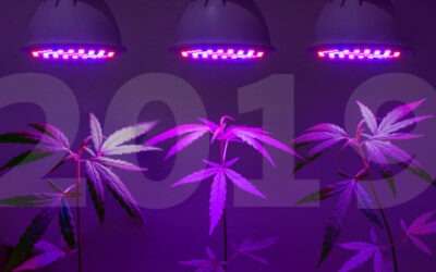 Cannabis Lighting Trends In 2019