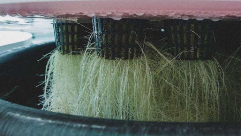 aeroponics, growX, precision automation