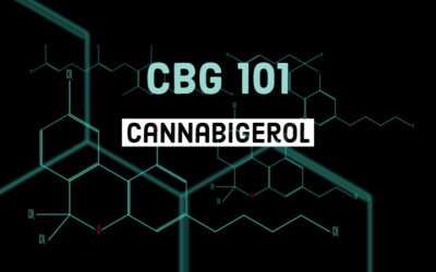What is Cannabigerol (CBG)?