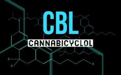 What is Cannabicyclol (CBL)?